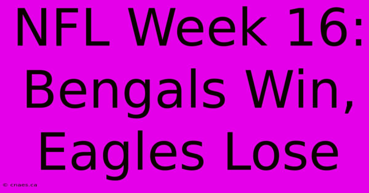 NFL Week 16: Bengals Win, Eagles Lose