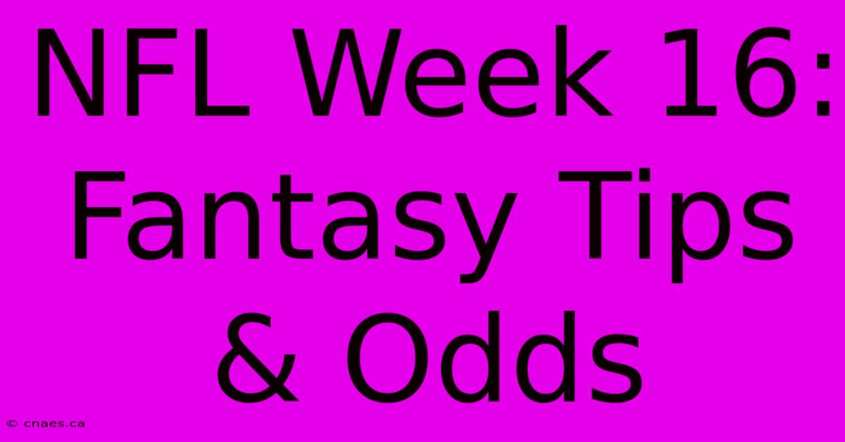 NFL Week 16: Fantasy Tips & Odds