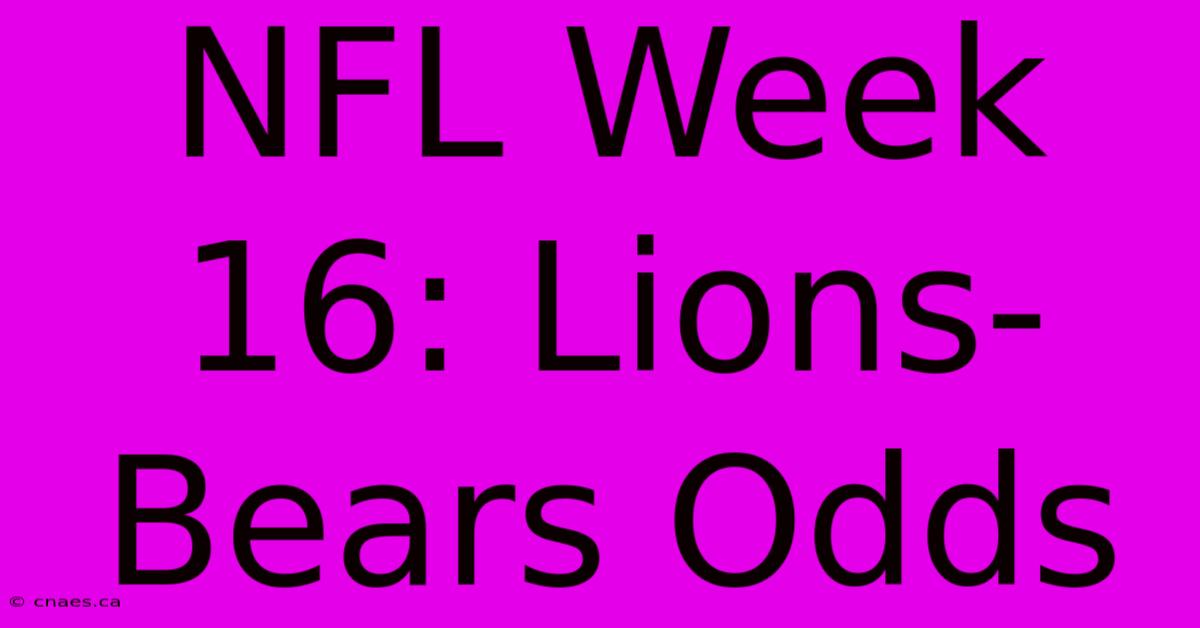 NFL Week 16: Lions-Bears Odds