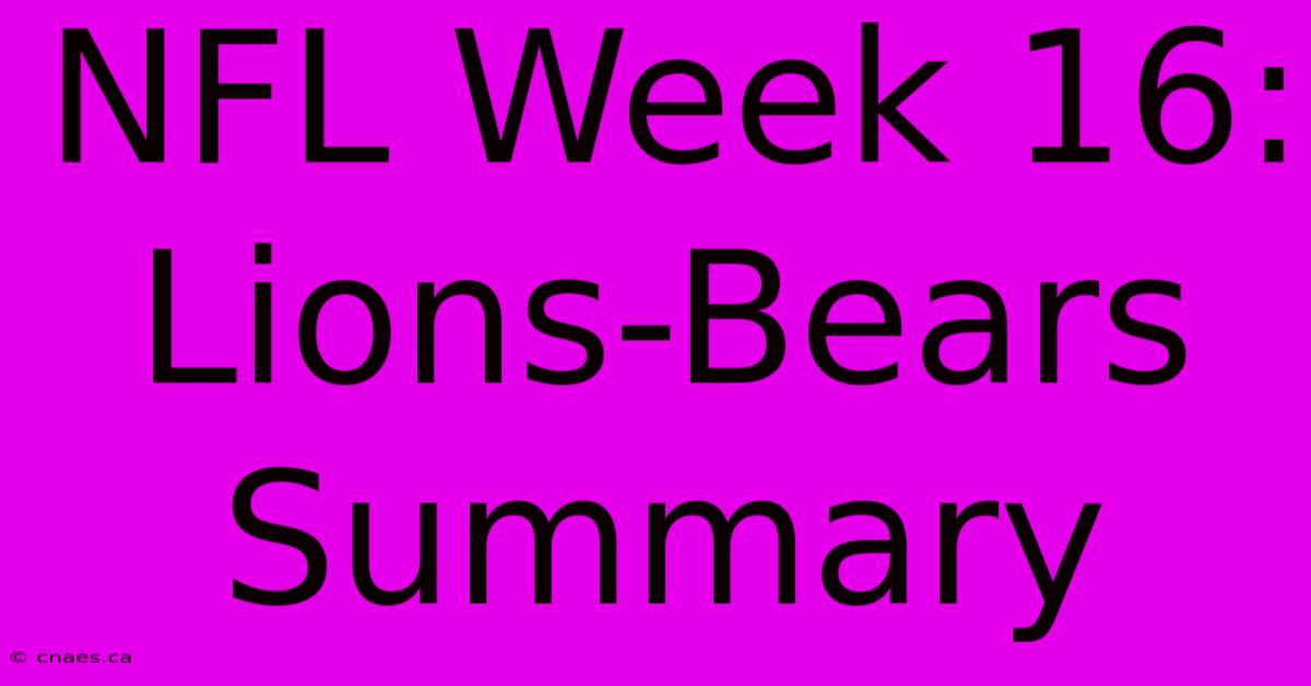 NFL Week 16: Lions-Bears Summary