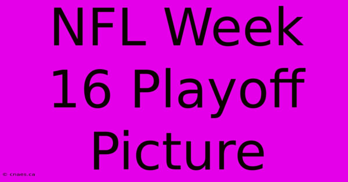 NFL Week 16 Playoff Picture