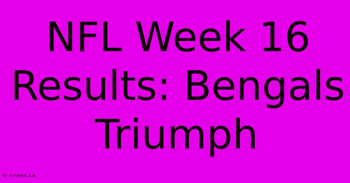 NFL Week 16 Results: Bengals Triumph