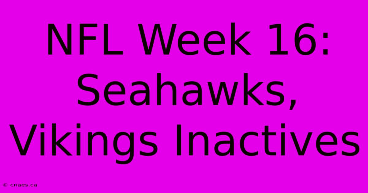 NFL Week 16: Seahawks, Vikings Inactives