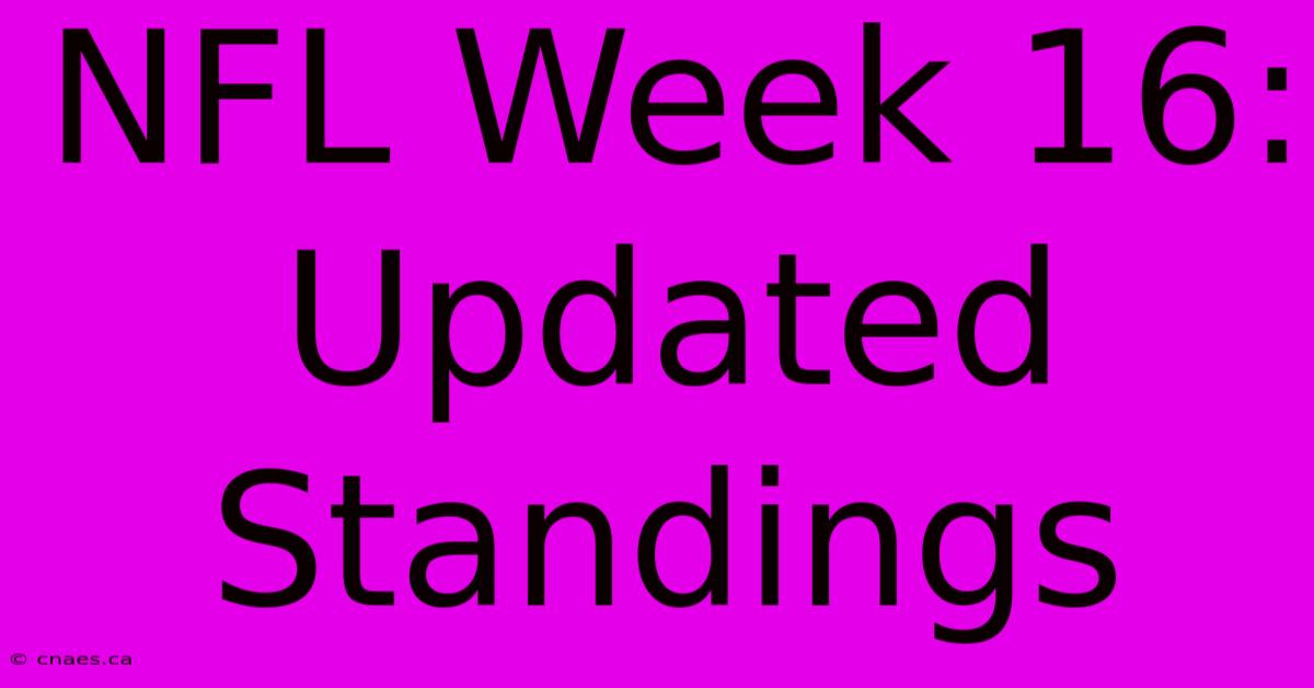 NFL Week 16: Updated Standings