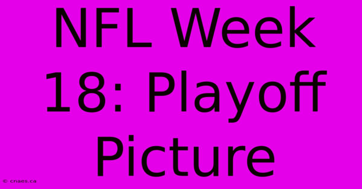 NFL Week 18: Playoff Picture