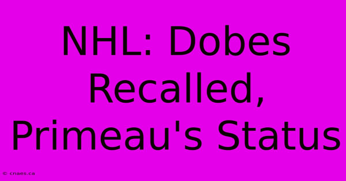 NHL: Dobes Recalled, Primeau's Status