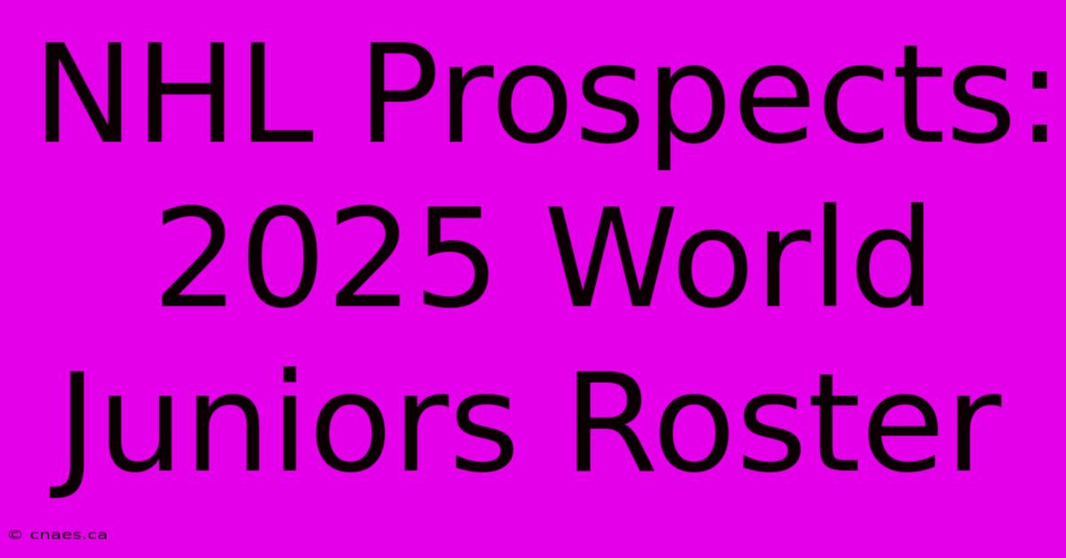 NHL Prospects: 2025 World Juniors Roster