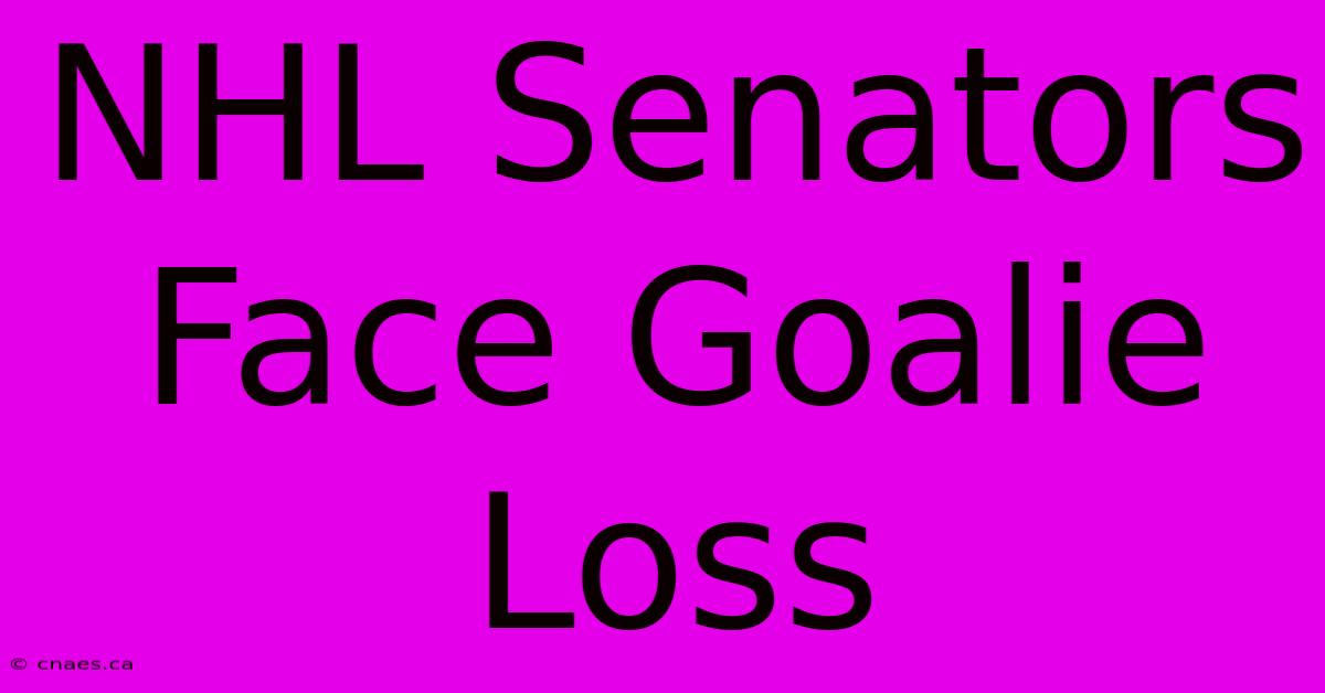 NHL Senators Face Goalie Loss