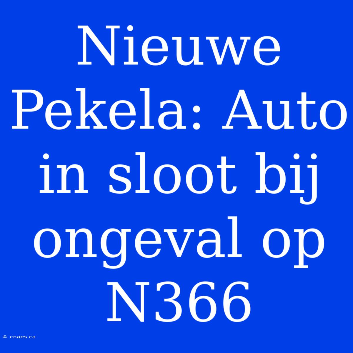 Nieuwe Pekela: Auto In Sloot Bij Ongeval Op N366