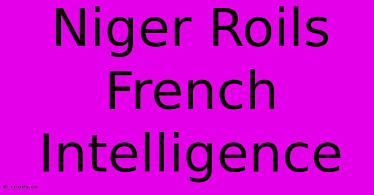 Niger Roils French Intelligence