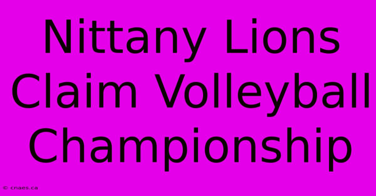 Nittany Lions Claim Volleyball Championship