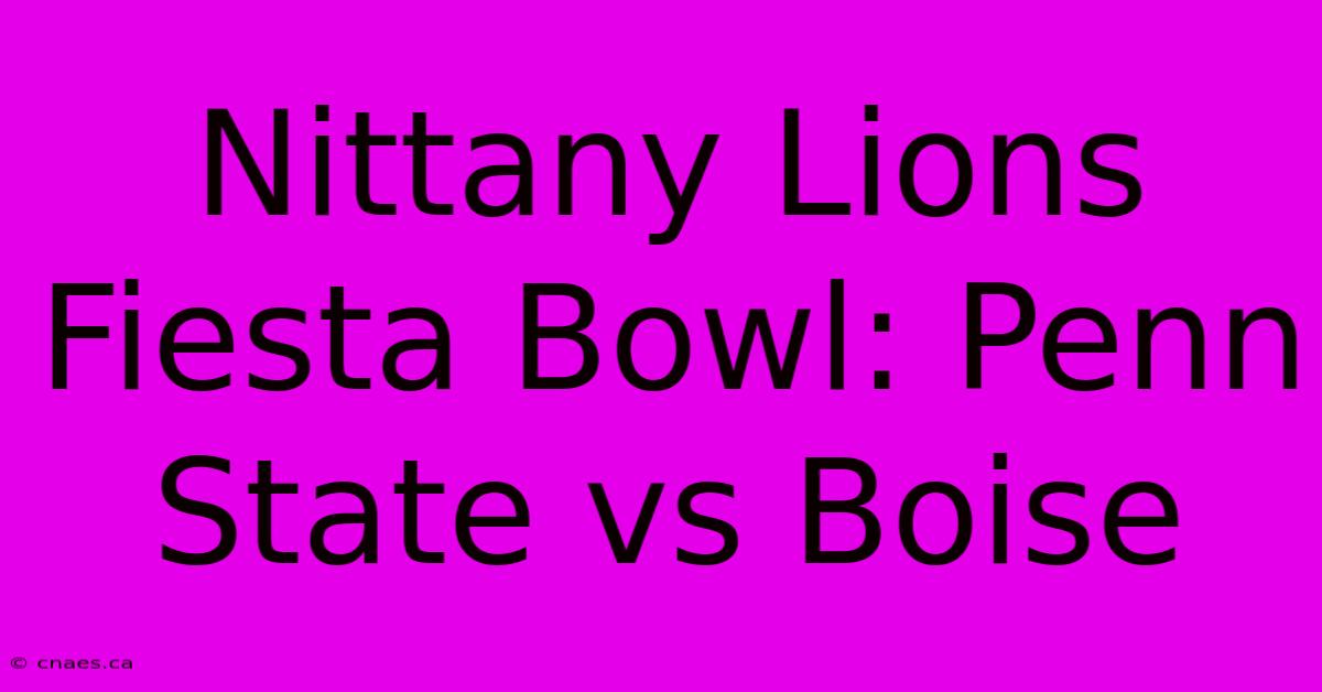 Nittany Lions Fiesta Bowl: Penn State Vs Boise