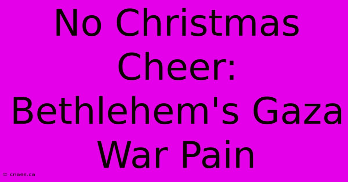 No Christmas Cheer: Bethlehem's Gaza War Pain