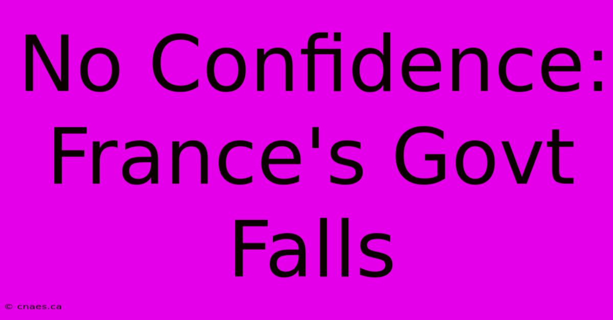 No Confidence: France's Govt Falls