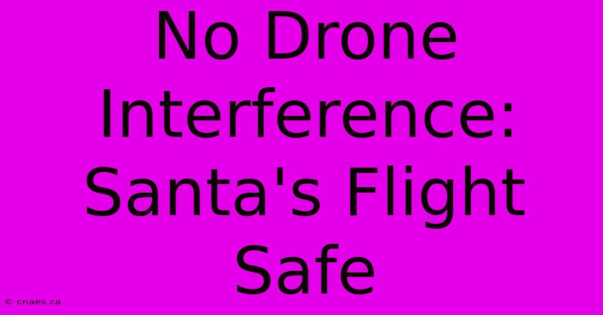 No Drone Interference: Santa's Flight Safe