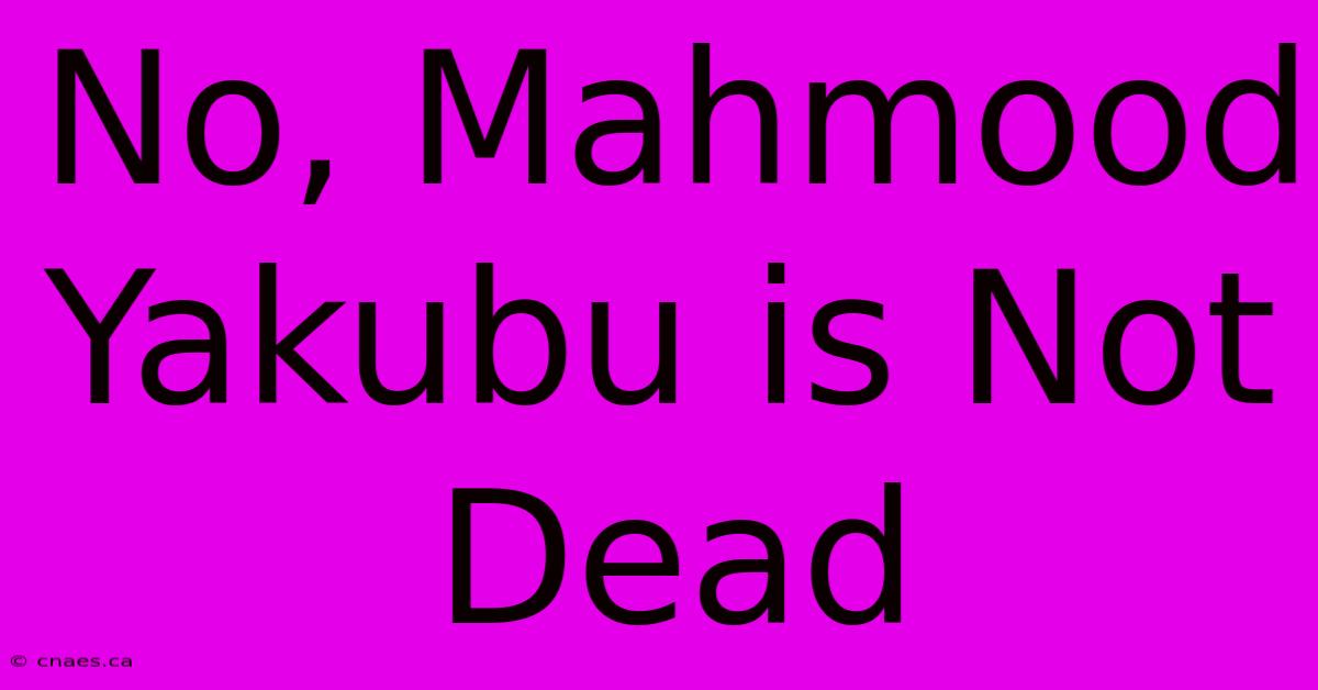 No, Mahmood Yakubu Is Not Dead