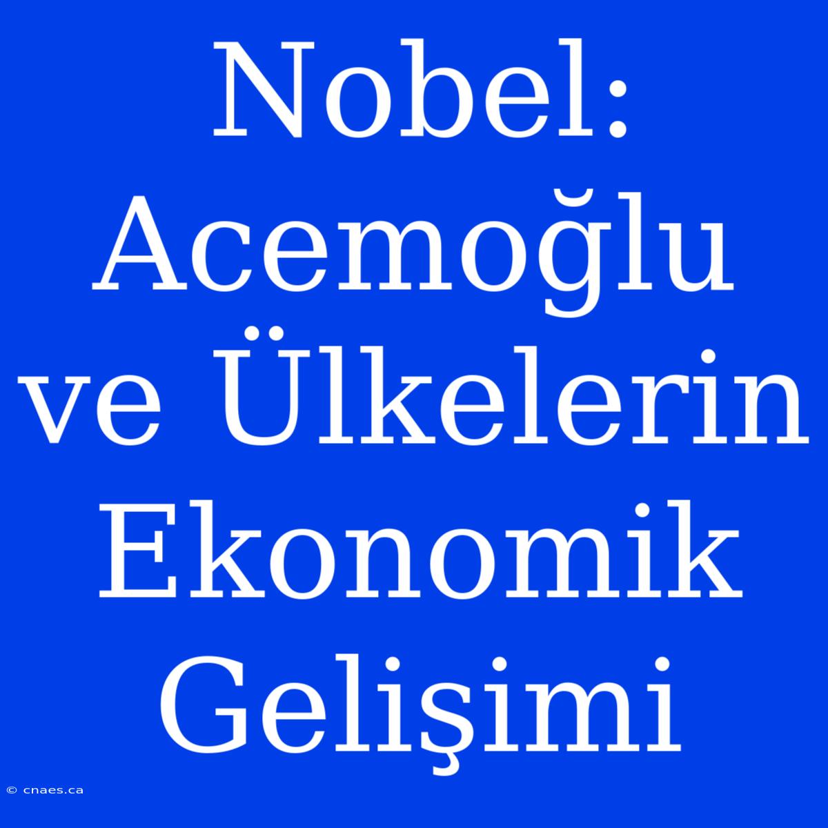 Nobel: Acemoğlu Ve Ülkelerin Ekonomik Gelişimi