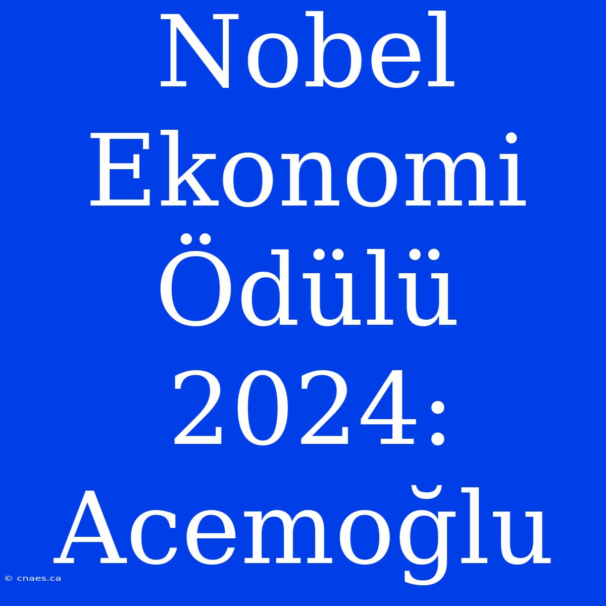 Nobel Ekonomi Ödülü 2024: Acemoğlu