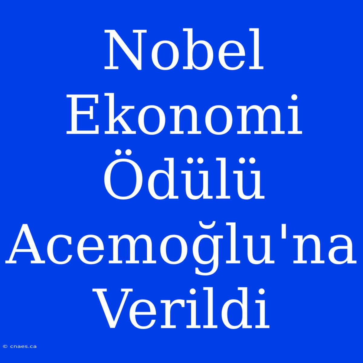 Nobel Ekonomi Ödülü Acemoğlu'na Verildi