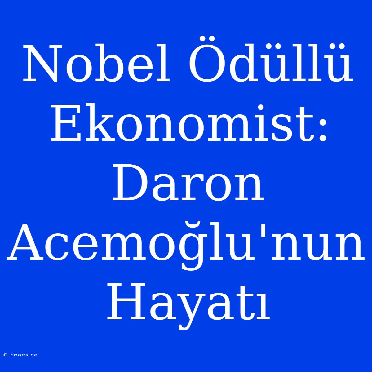 Nobel Ödüllü Ekonomist: Daron Acemoğlu'nun Hayatı