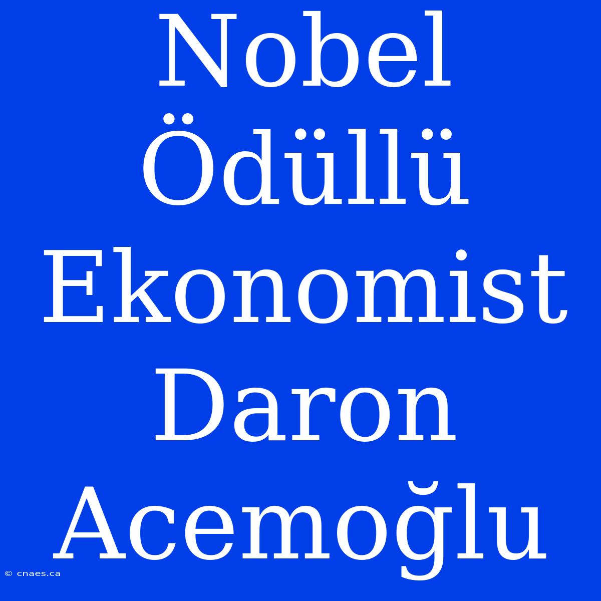 Nobel Ödüllü Ekonomist Daron Acemoğlu