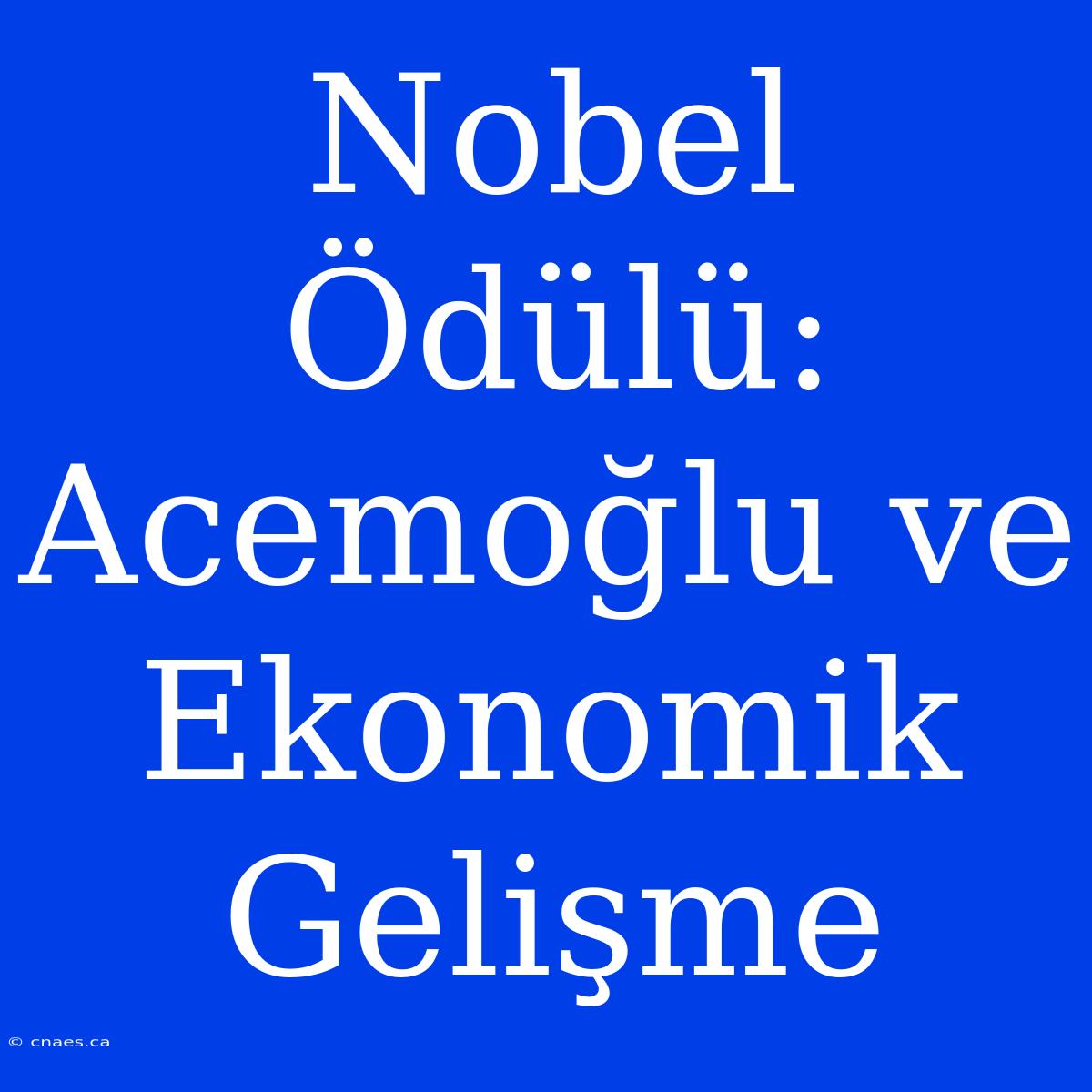 Nobel Ödülü: Acemoğlu Ve Ekonomik Gelişme