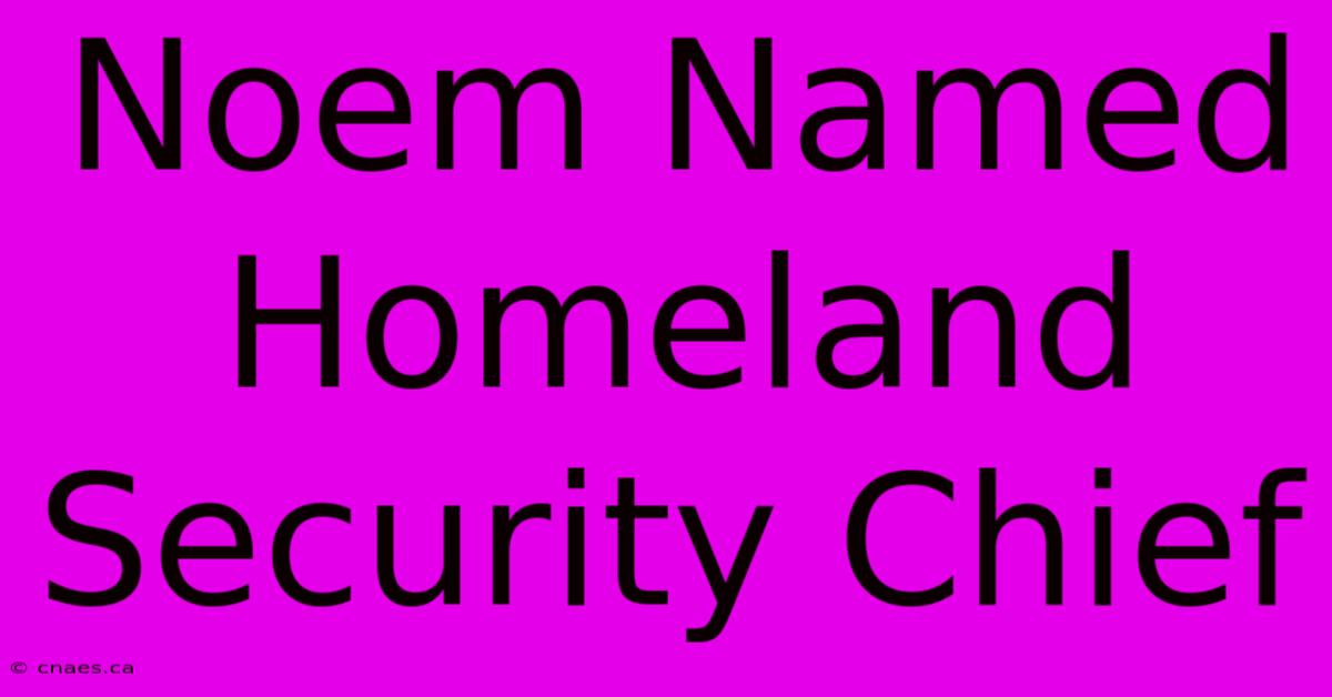 Noem Named Homeland Security Chief