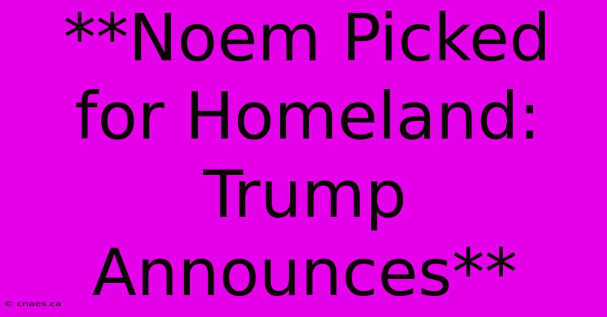 **Noem Picked For Homeland: Trump Announces**