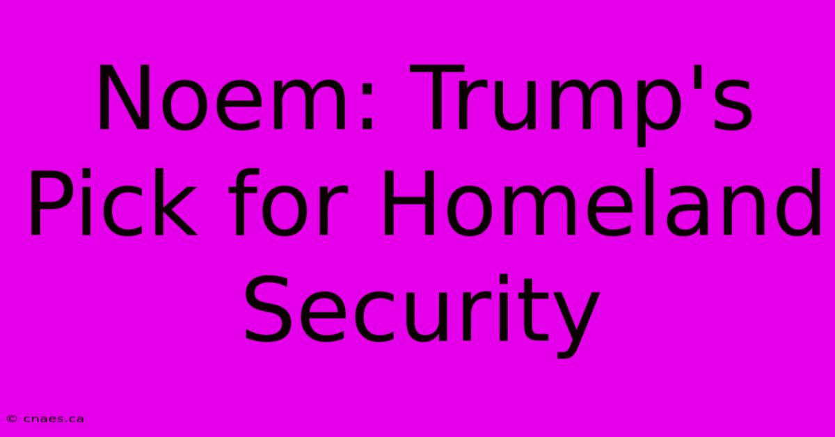 Noem: Trump's Pick For Homeland Security