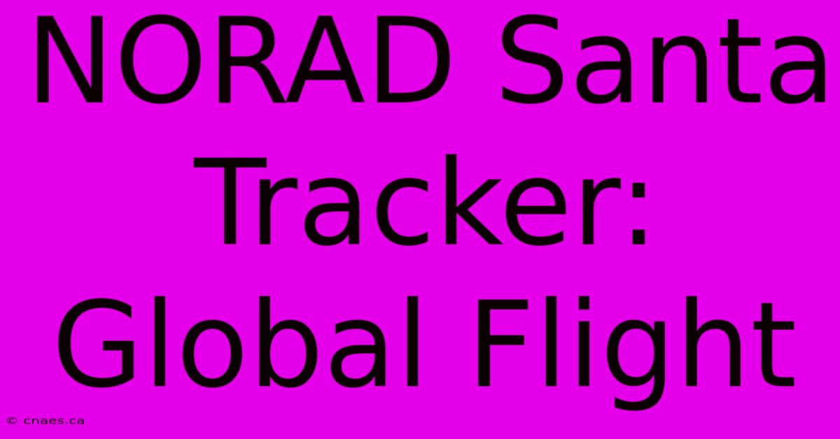 NORAD Santa Tracker: Global Flight