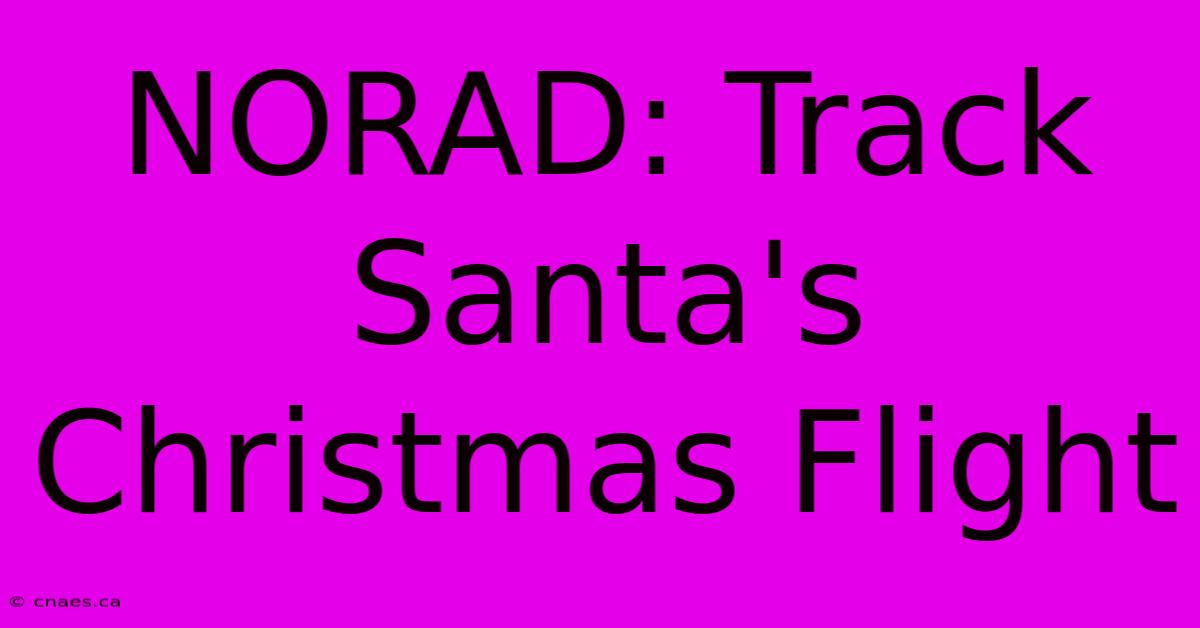 NORAD: Track Santa's Christmas Flight