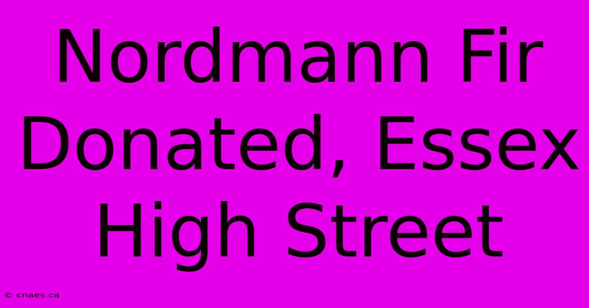 Nordmann Fir Donated, Essex High Street