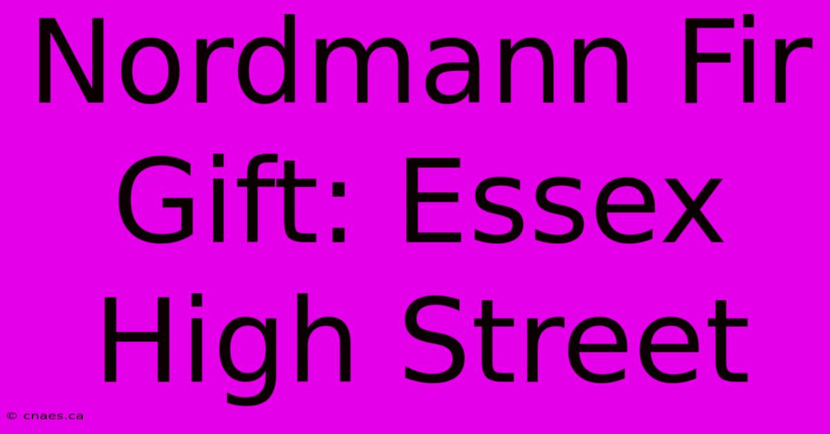 Nordmann Fir Gift: Essex High Street