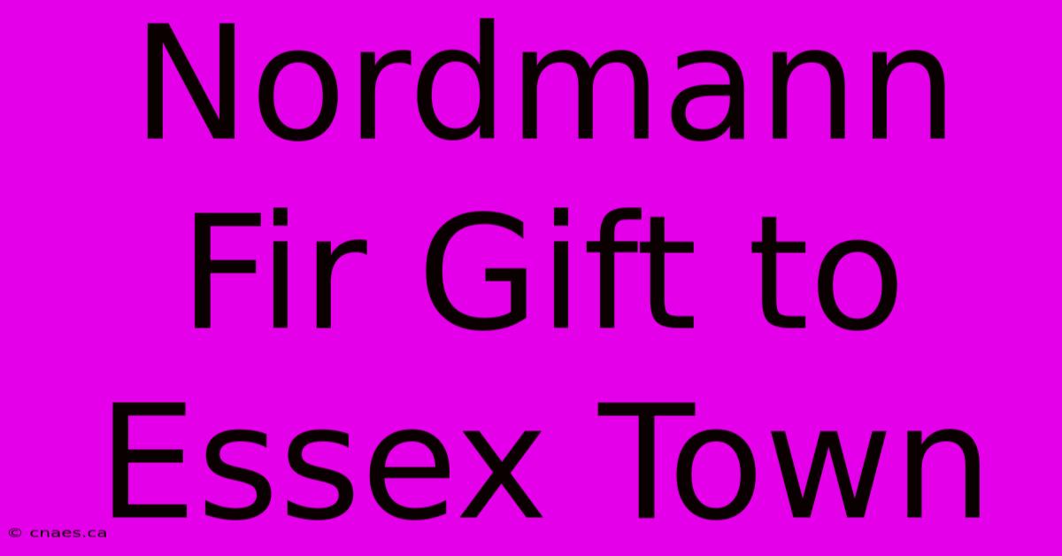 Nordmann Fir Gift To Essex Town