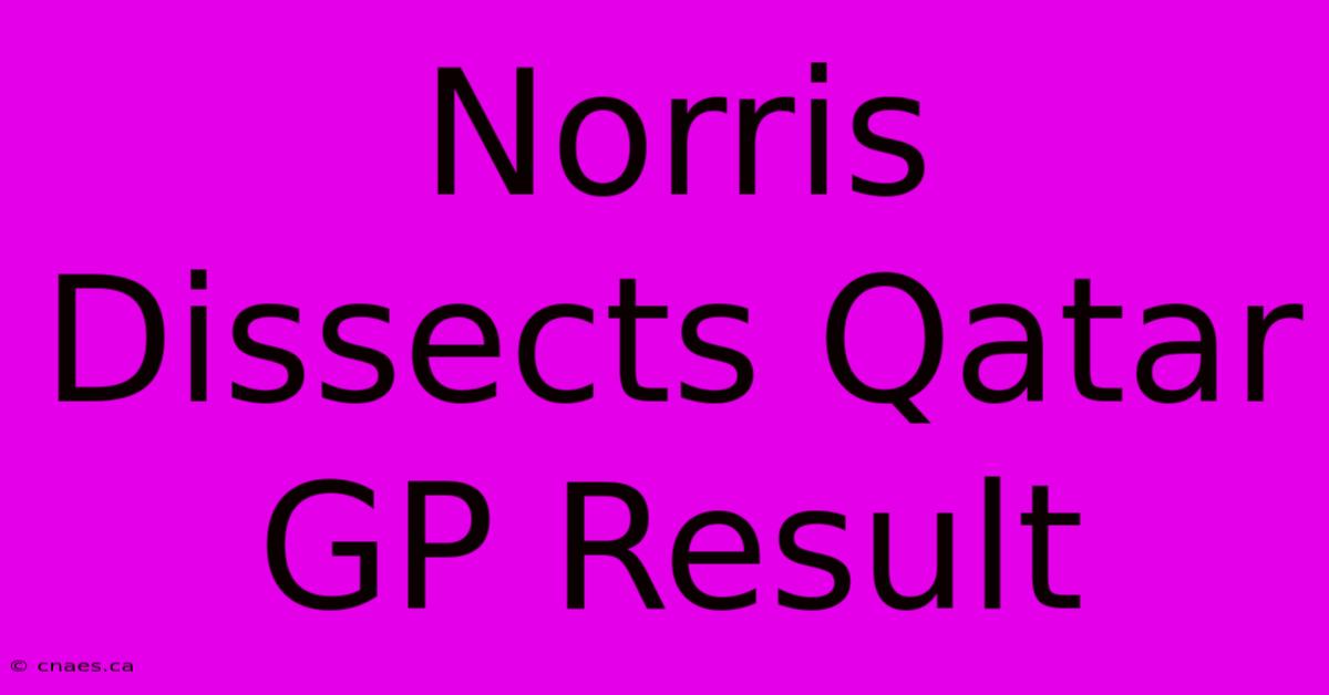 Norris Dissects Qatar GP Result