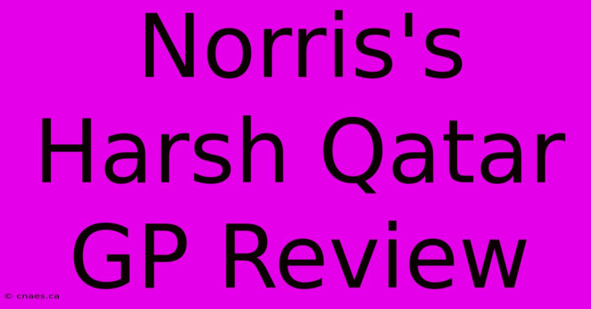 Norris's Harsh Qatar GP Review