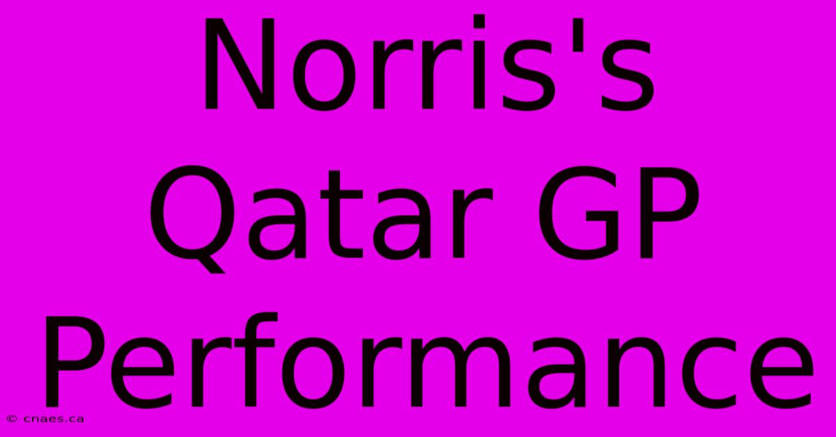 Norris's Qatar GP Performance