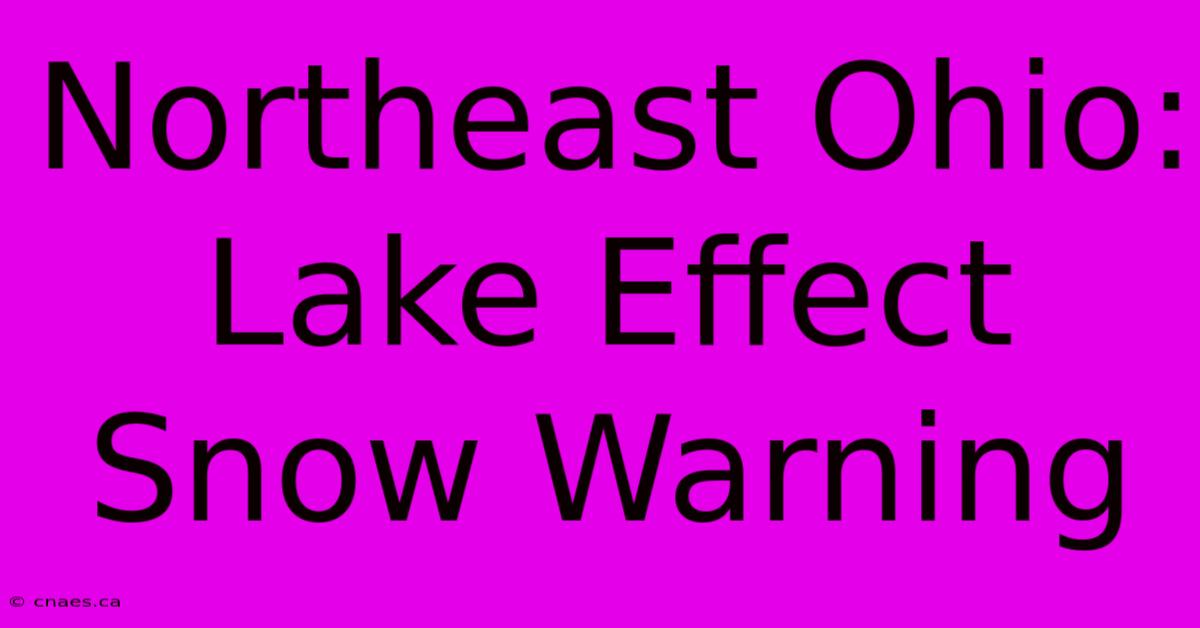 Northeast Ohio: Lake Effect Snow Warning