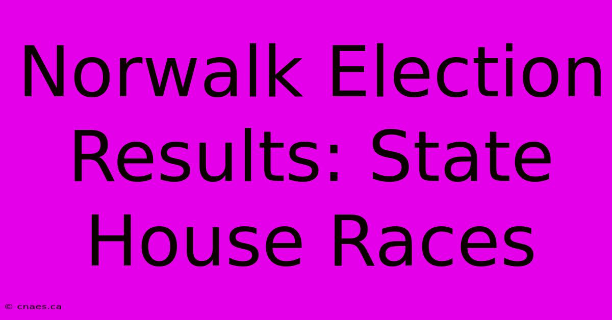 Norwalk Election Results: State House Races