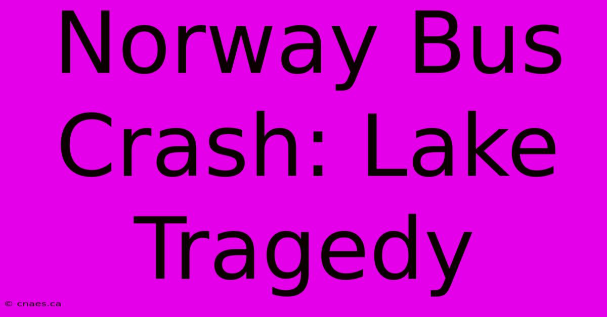 Norway Bus Crash: Lake Tragedy