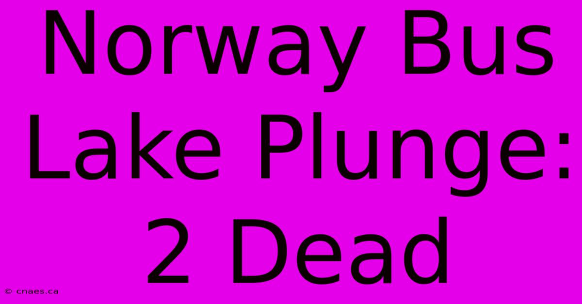 Norway Bus Lake Plunge: 2 Dead