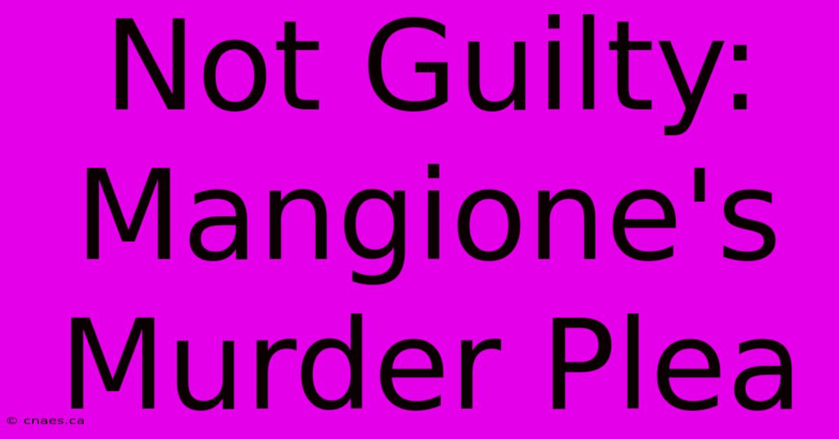 Not Guilty: Mangione's Murder Plea