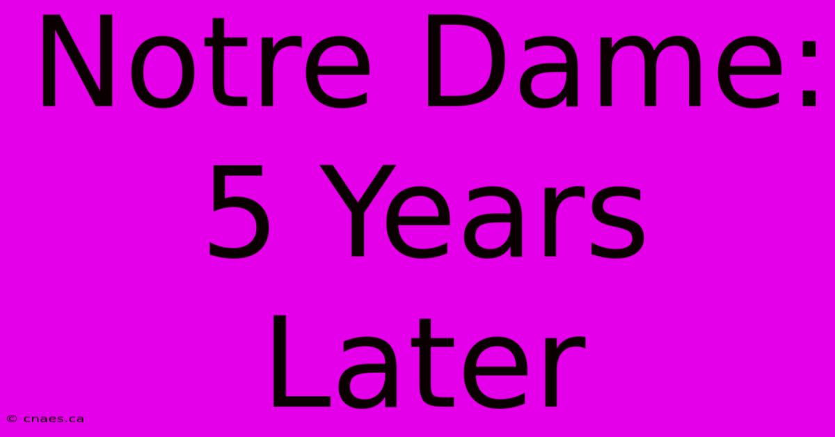 Notre Dame: 5 Years Later