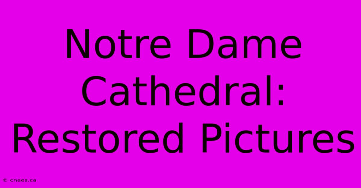 Notre Dame Cathedral: Restored Pictures