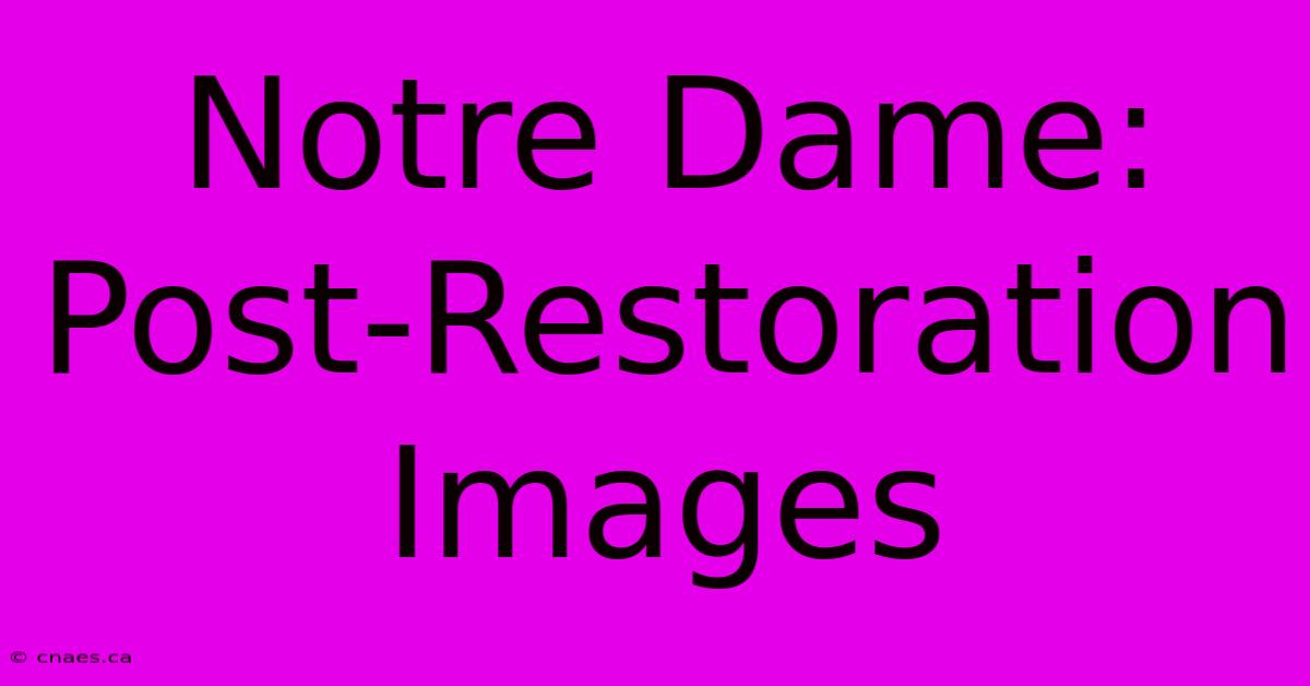 Notre Dame: Post-Restoration Images