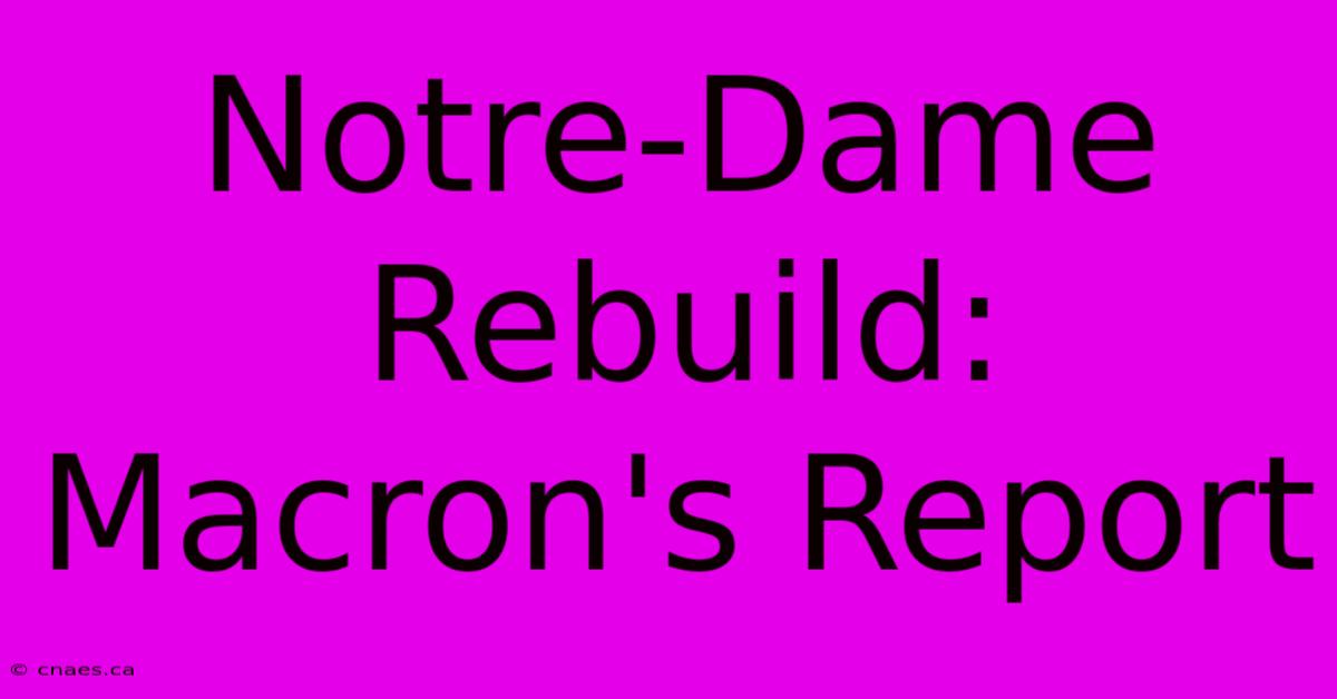 Notre-Dame Rebuild: Macron's Report