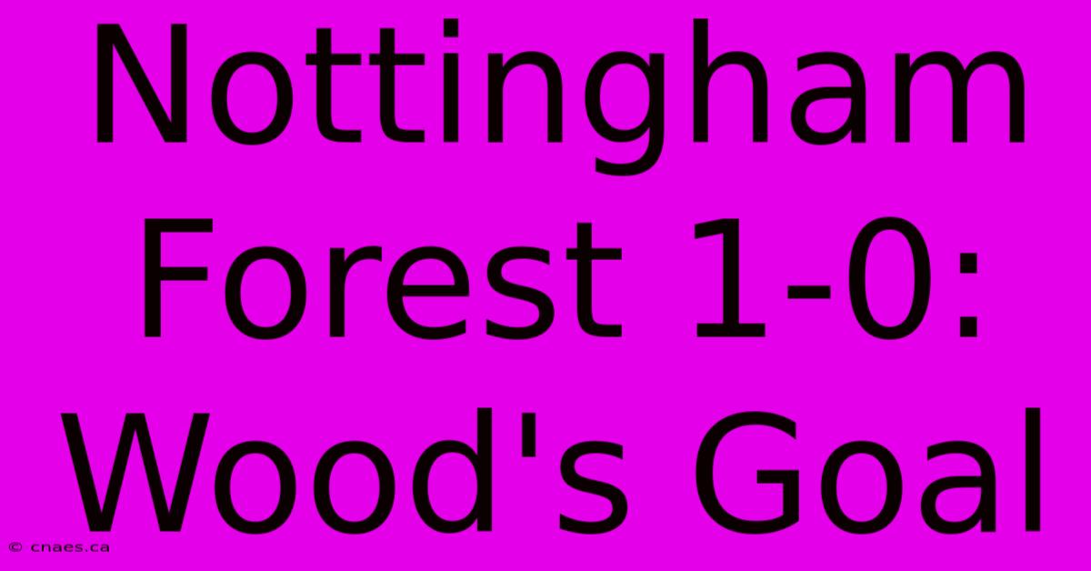 Nottingham Forest 1-0: Wood's Goal