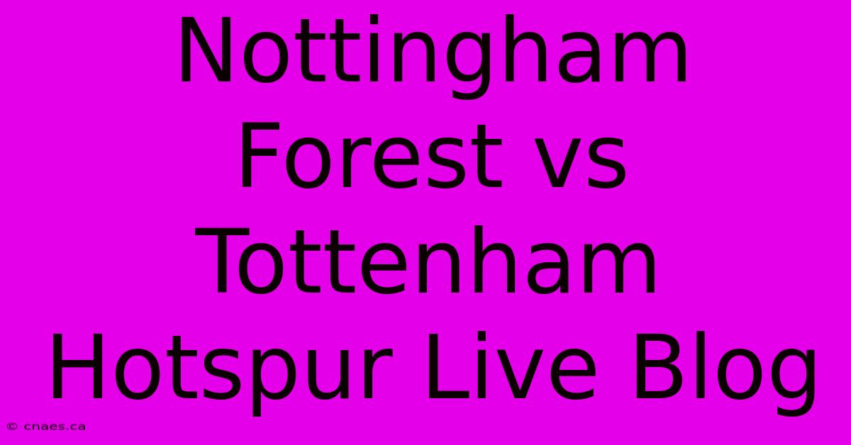 Nottingham Forest Vs Tottenham Hotspur Live Blog