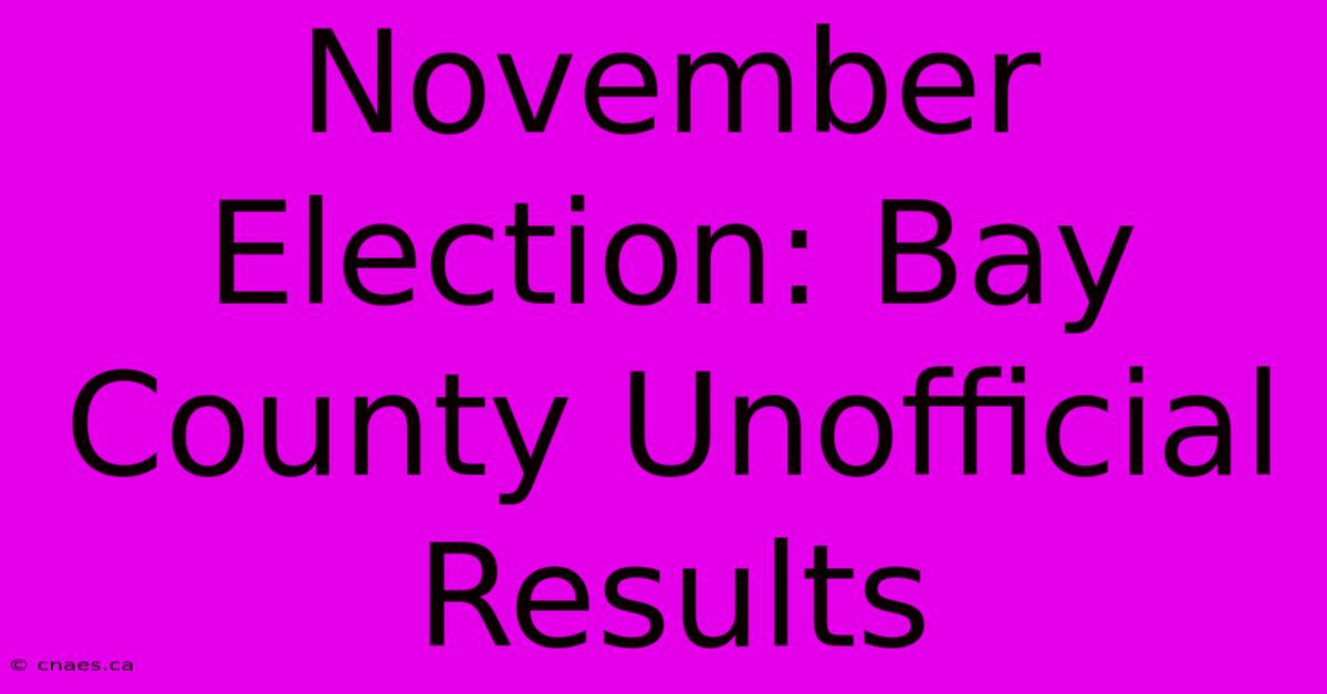 November Election: Bay County Unofficial Results