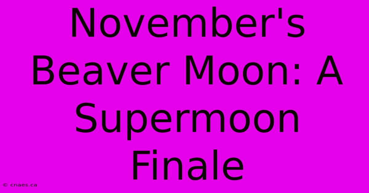 November's Beaver Moon: A Supermoon Finale